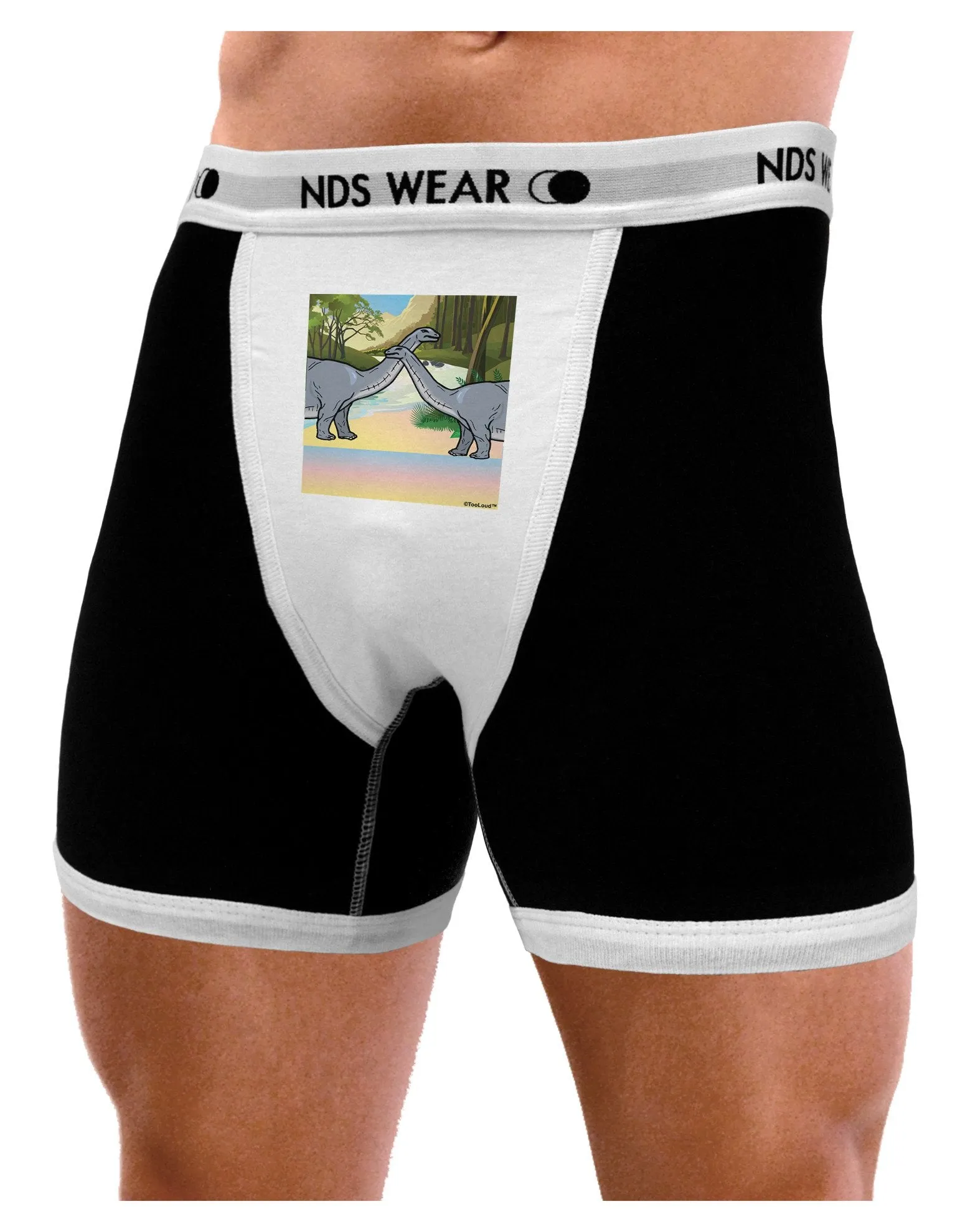 Diplodocus Longus - Without Name Mens Boxer Brief Underwear