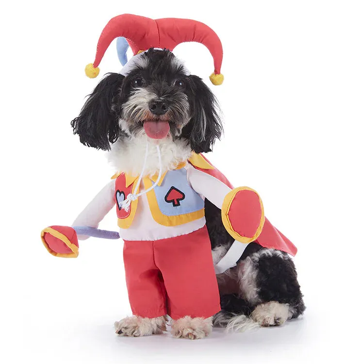 Dog Costumes. Pick From 11 Cute Styles For Halloween And Year Round Fun.