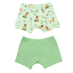 Duck Duck Dog Boys Boxer Set of 2