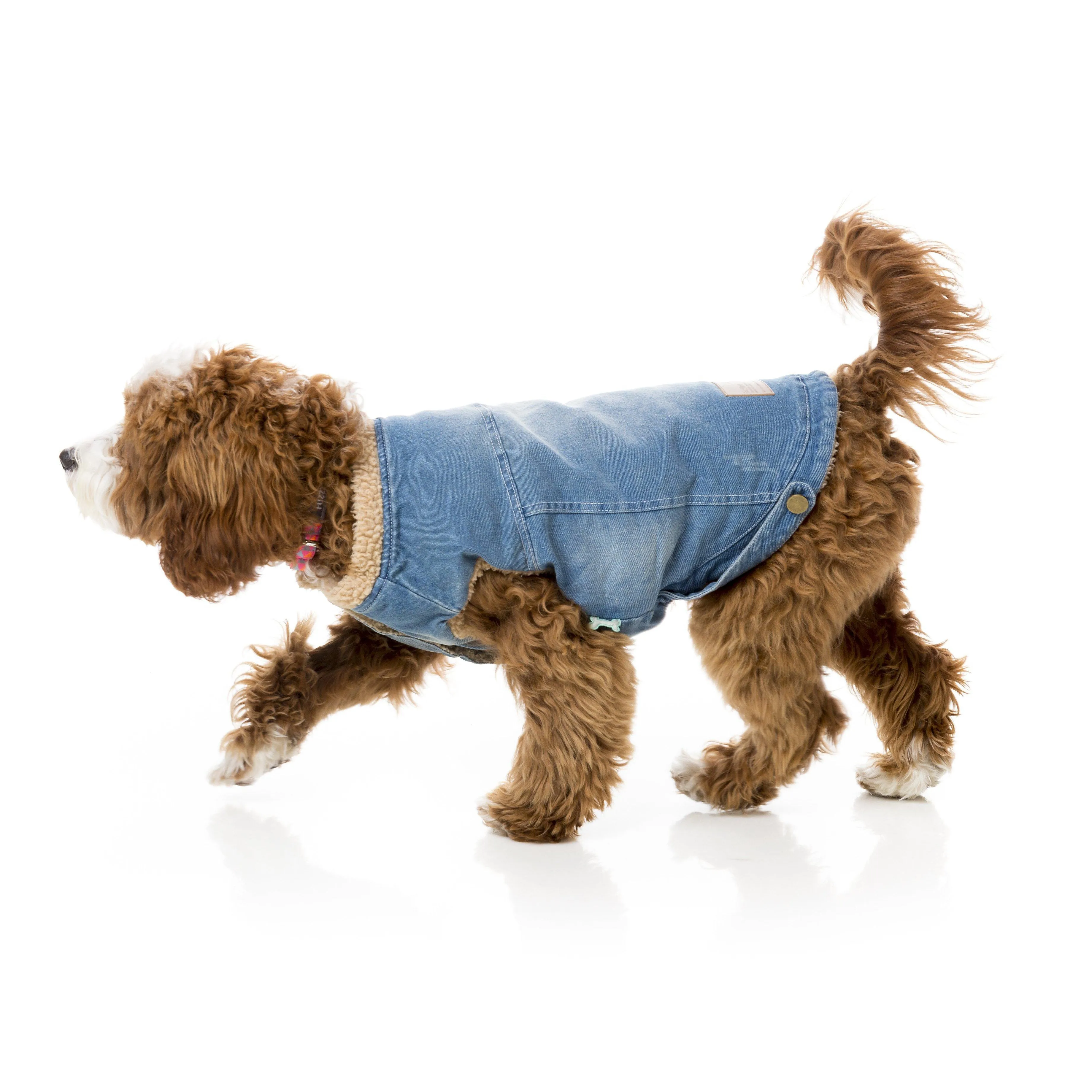 FuzzYard | Rebel Dog Denim Jacket