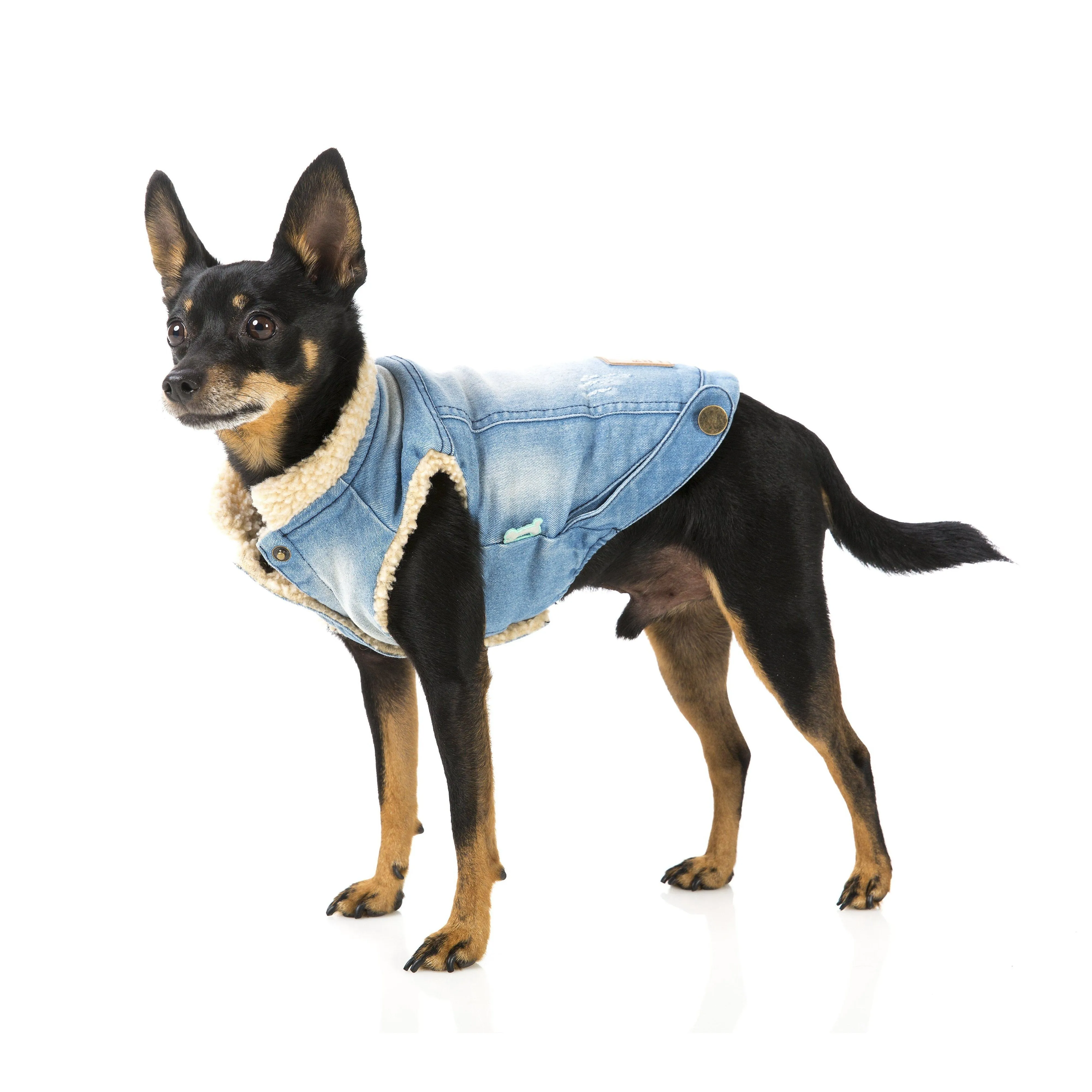 FuzzYard | Rebel Dog Denim Jacket