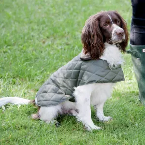 Mutts & Hounds Quilted Waterproof Dog Coat - Olive Green